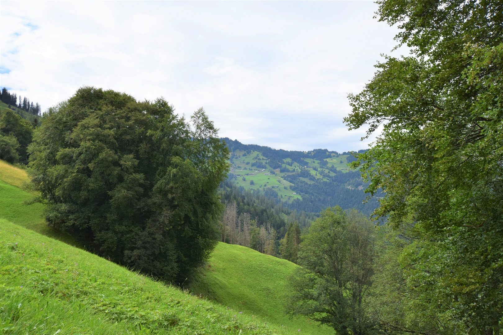 Aussicht (2)