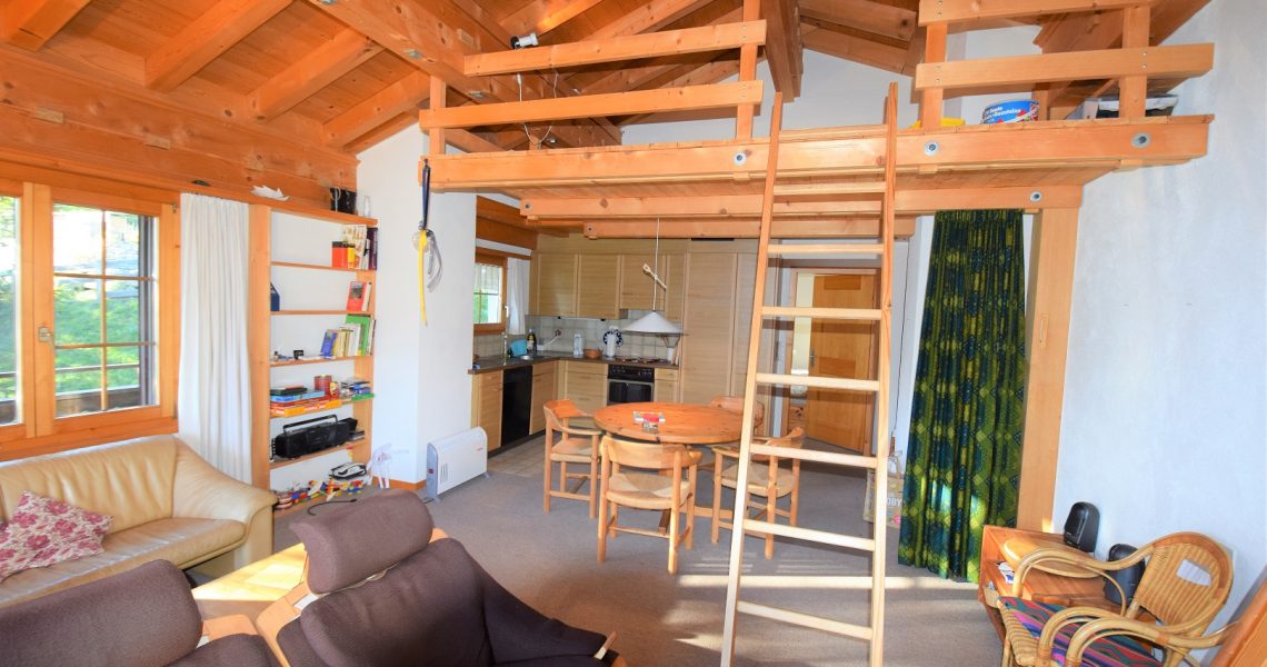 Wohnzimmer (7)